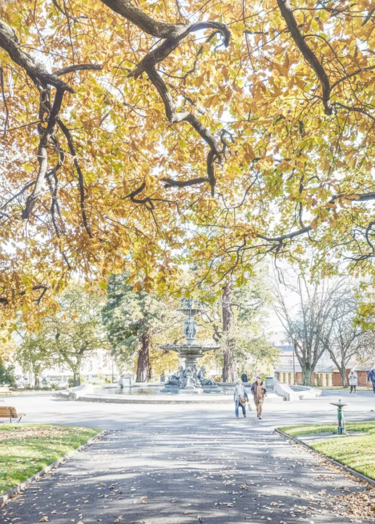 Launceston City Park