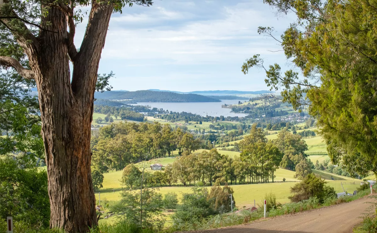 The Huon Valley, surrounded by green grass and trees.
